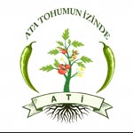 Fatih