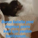 Feyza