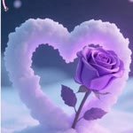 Orhan