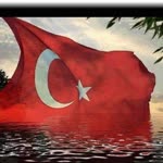 Nur