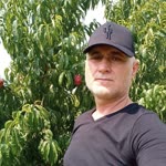 Bahri