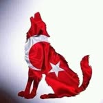Cemal