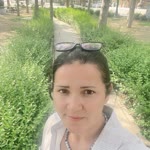 Nilüfer
