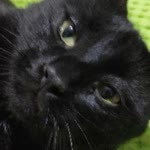 Zeynep
