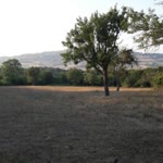 Sadiye