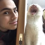Emir