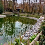 Halime