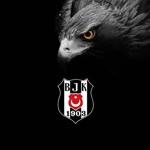 Erhan