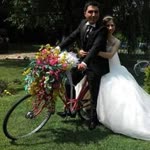 Enis