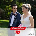 Şahin