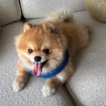 Cengiz