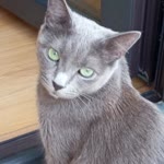Oguzhan
