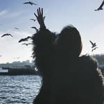 Dilek