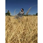 Nisa