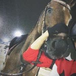 Merve
