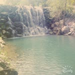 Dilek