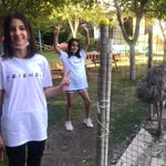 Elif