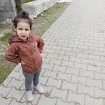Züride