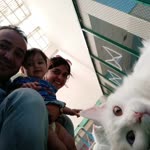 Zeynep