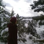Cansu