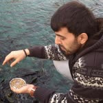 İbrahim