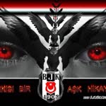 Nedim