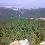 Şaban