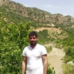 Orhan