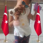 Ertuğrul