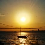 Yasemin