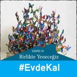 İpek