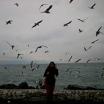 Selin