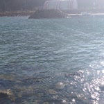 Cansu