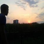 Yasin
