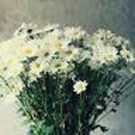 Melike