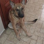 Yusuf