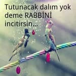 Ersin