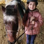 Ayse