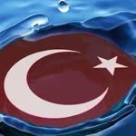 Doğan