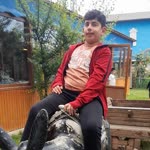 Orhan