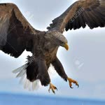 Kerim
