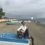Doğan