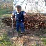 İlhami