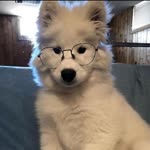 Saniya