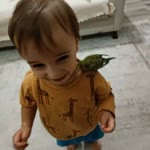 Mikail