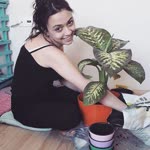 Sinem