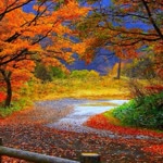 Onur