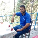 Bulut
