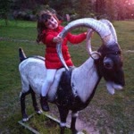 Dilek