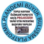 Şefika